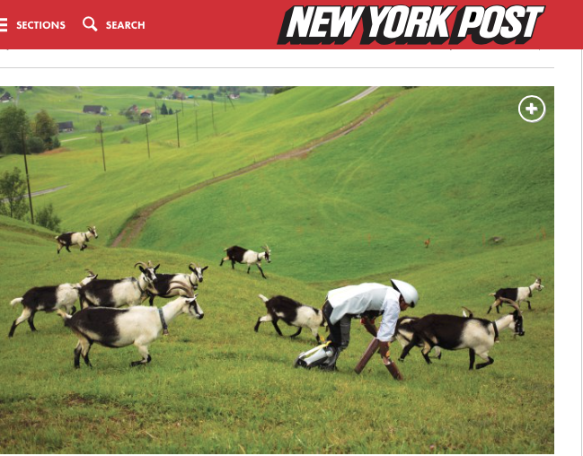 Screen Shot 2016-05-15 at 7.14.49 AM