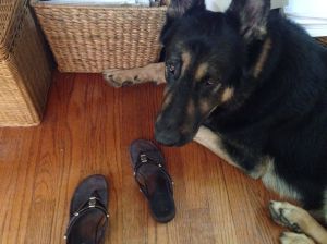 What's under my desk